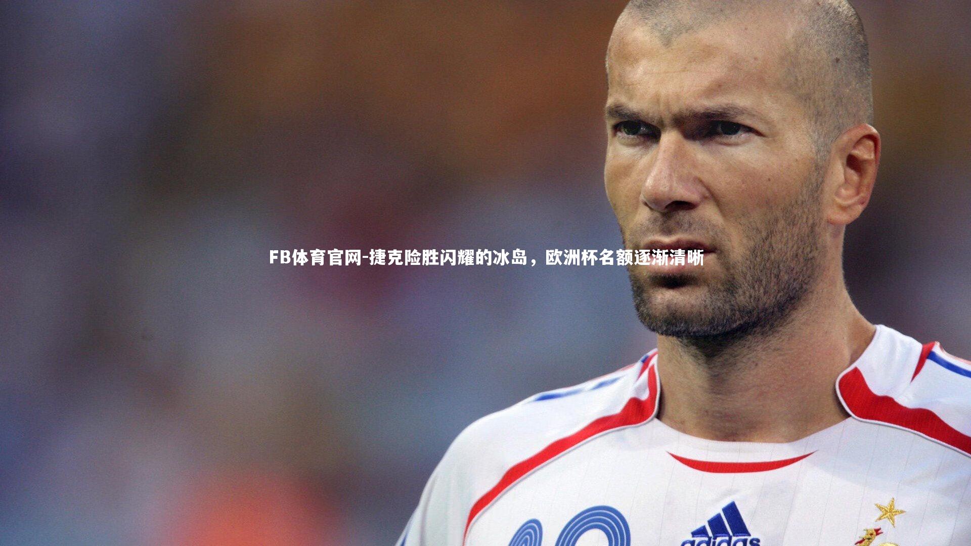 捷克险胜闪耀的冰岛，欧洲杯名额逐渐清晰