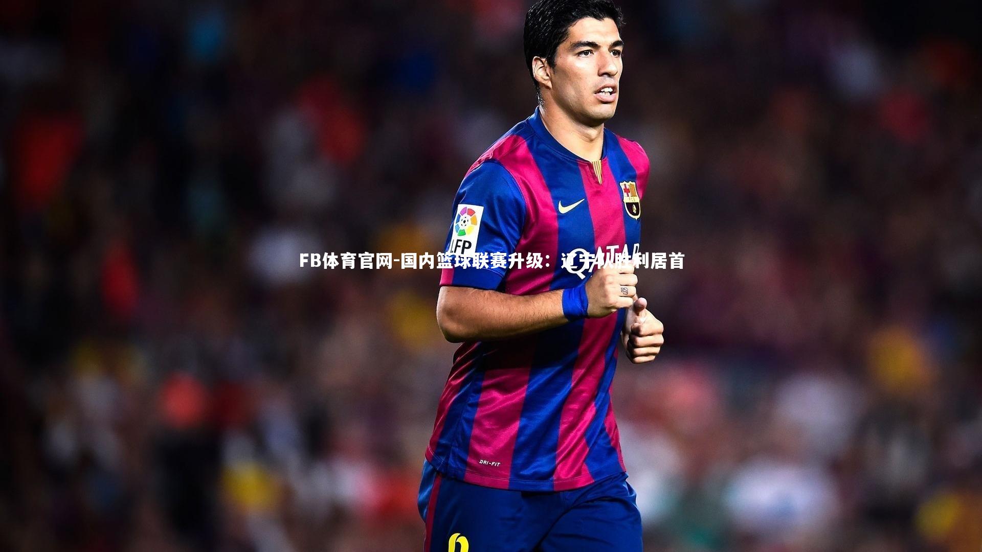 国内篮球联赛升级：辽宁队胜利居首